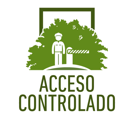 Card Icon